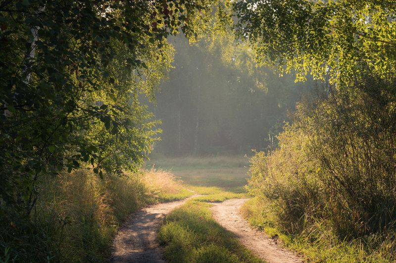 луг, лето, , август, утро, рассвет Когда на душе тепло фото превью