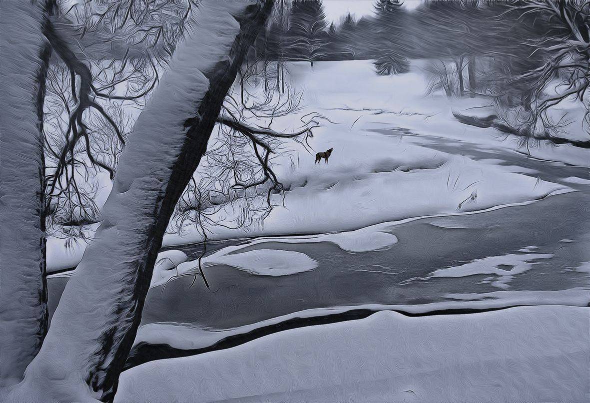 , T. Bondarenko