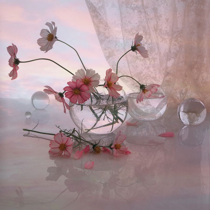 Летний вечер фото превью