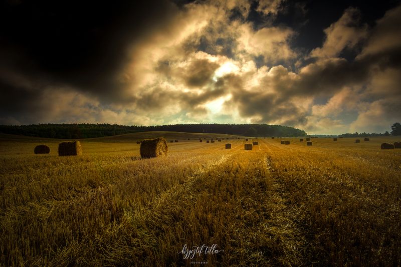 Field  hay bales  landscape  nature  summer  sun  sky  clouds  dramatic clouds  morning  cultivation  agriculture  nikon  light  Agricultural Field  Landscape - Scenery  Storm clouds over the fields фото превью