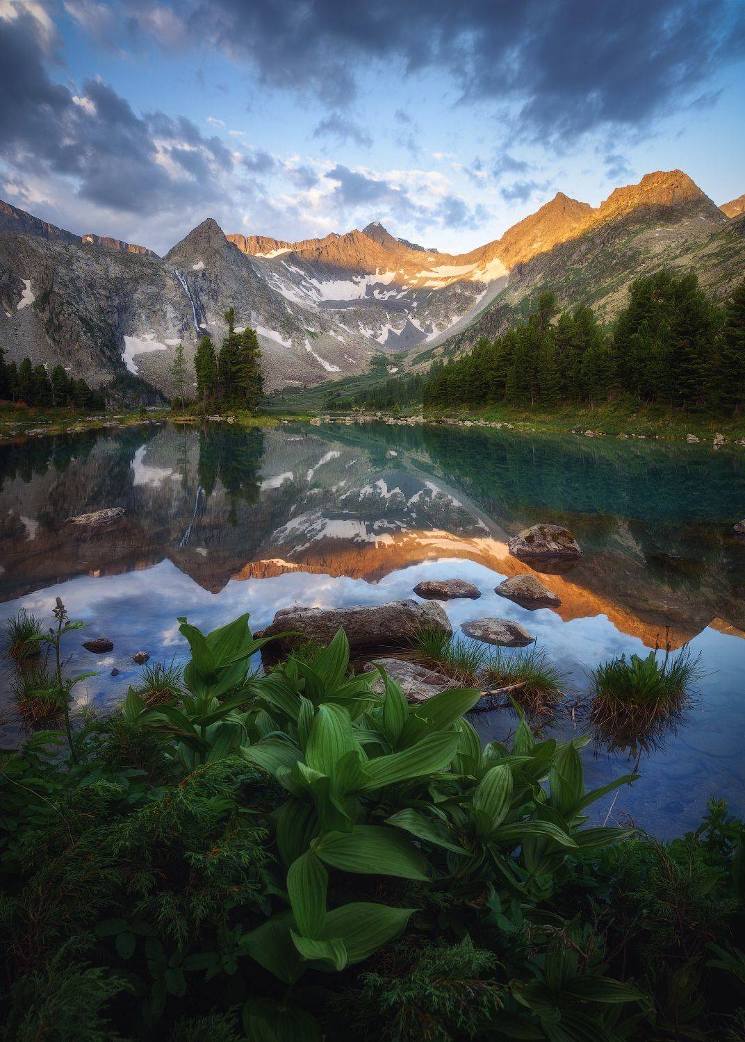 алтай, горный алтай, республика алтай, усть-коксинский район, катунский хребет, крепкие озера, озеро крепкое, чемерица, чемерица лобеля, можжевельник, горное озеро, утро в горах, горный хребет, тайга, кедрачи, лето на алтае, летний алтай, Алена Рубан