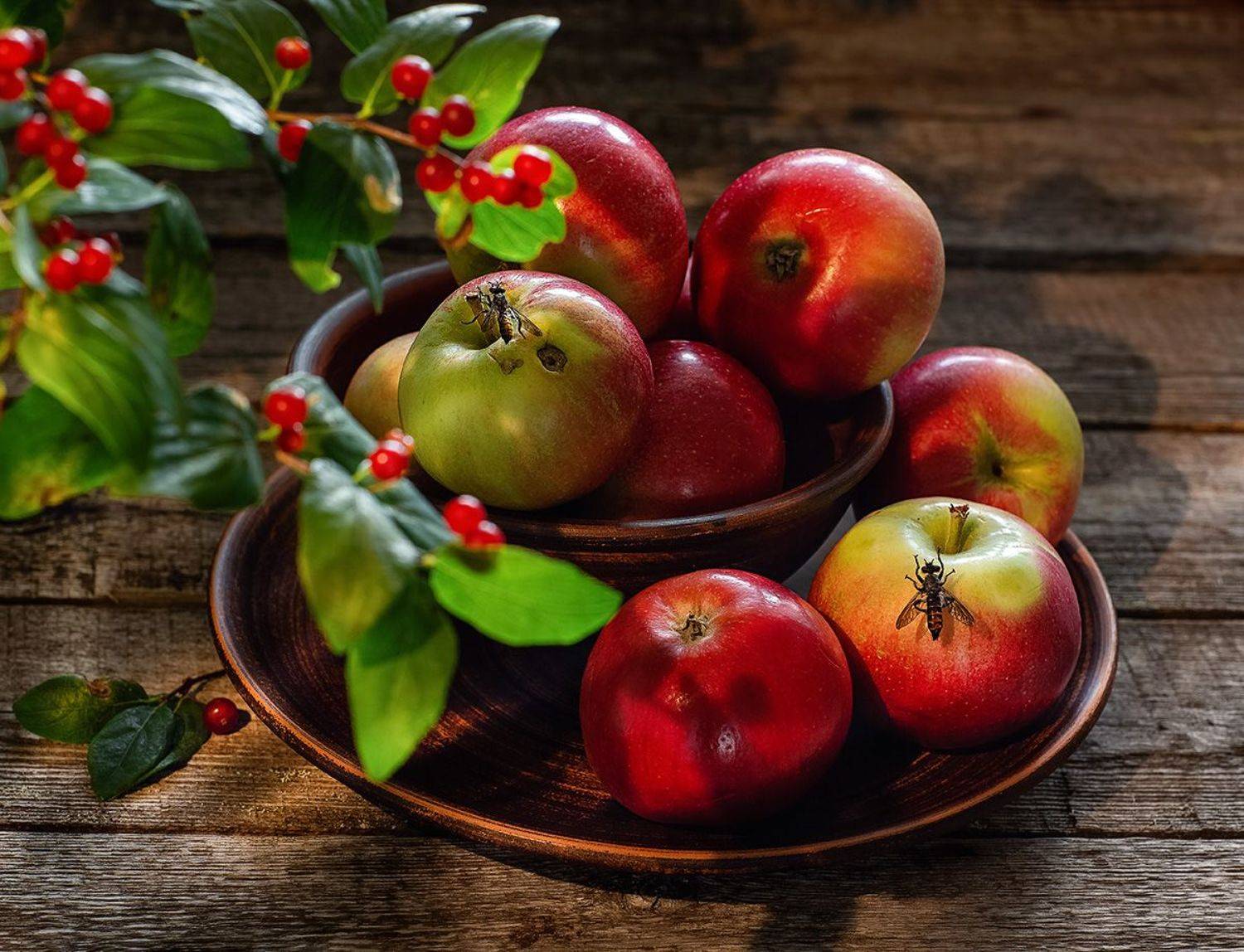 натюрморт фотонатюрморт яблоки лето , Наталья Кабачек