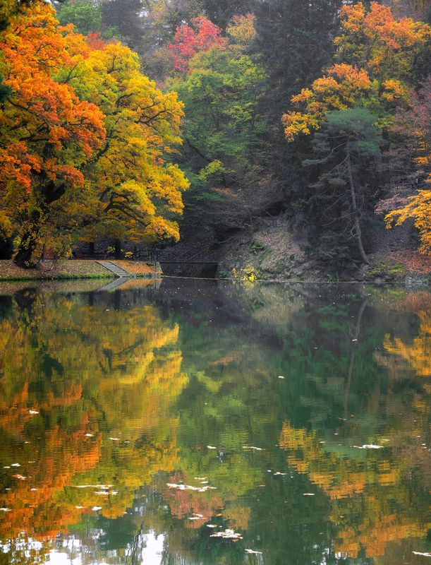 Зеркало осени. фото превью