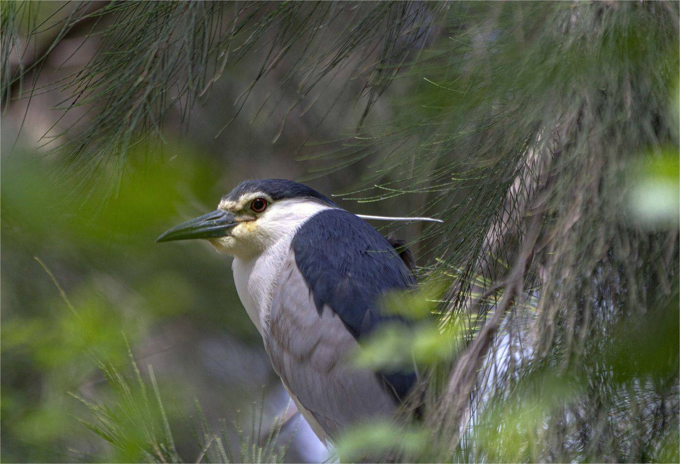 , Валентина Булкина