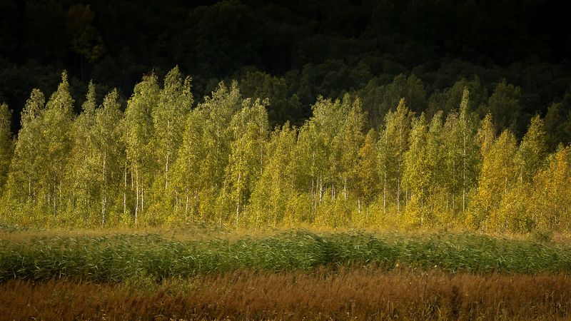 Псковская область /Изборск фото превью