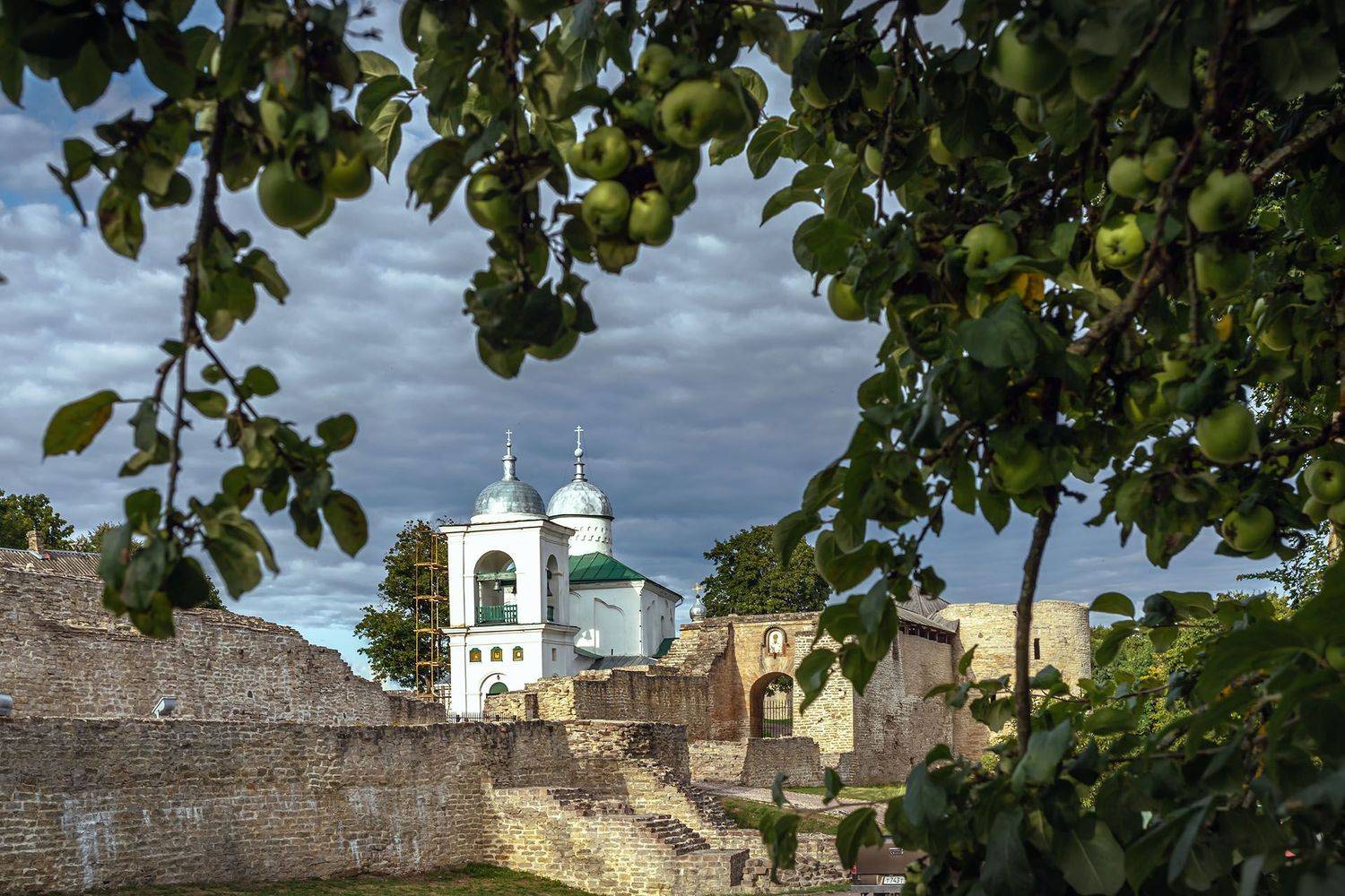 , Елена Маковоз