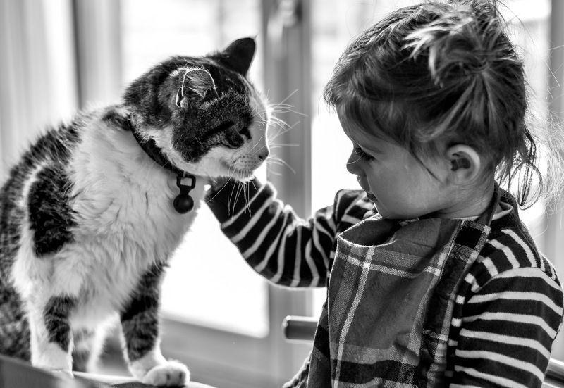 Давай дружить... фото превью