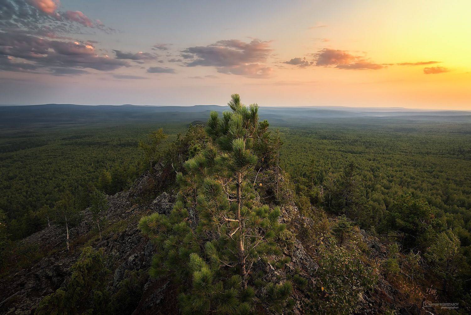 , Антон Кошетаров