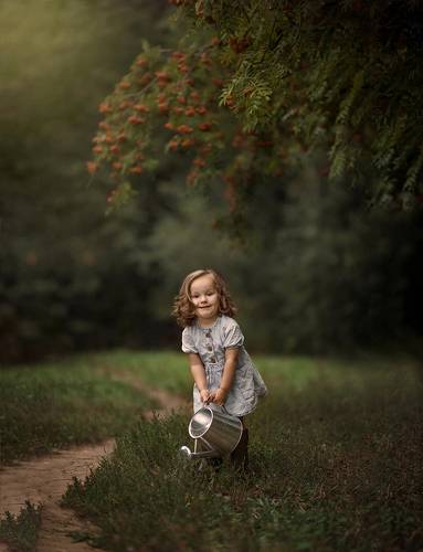 Little Gardener