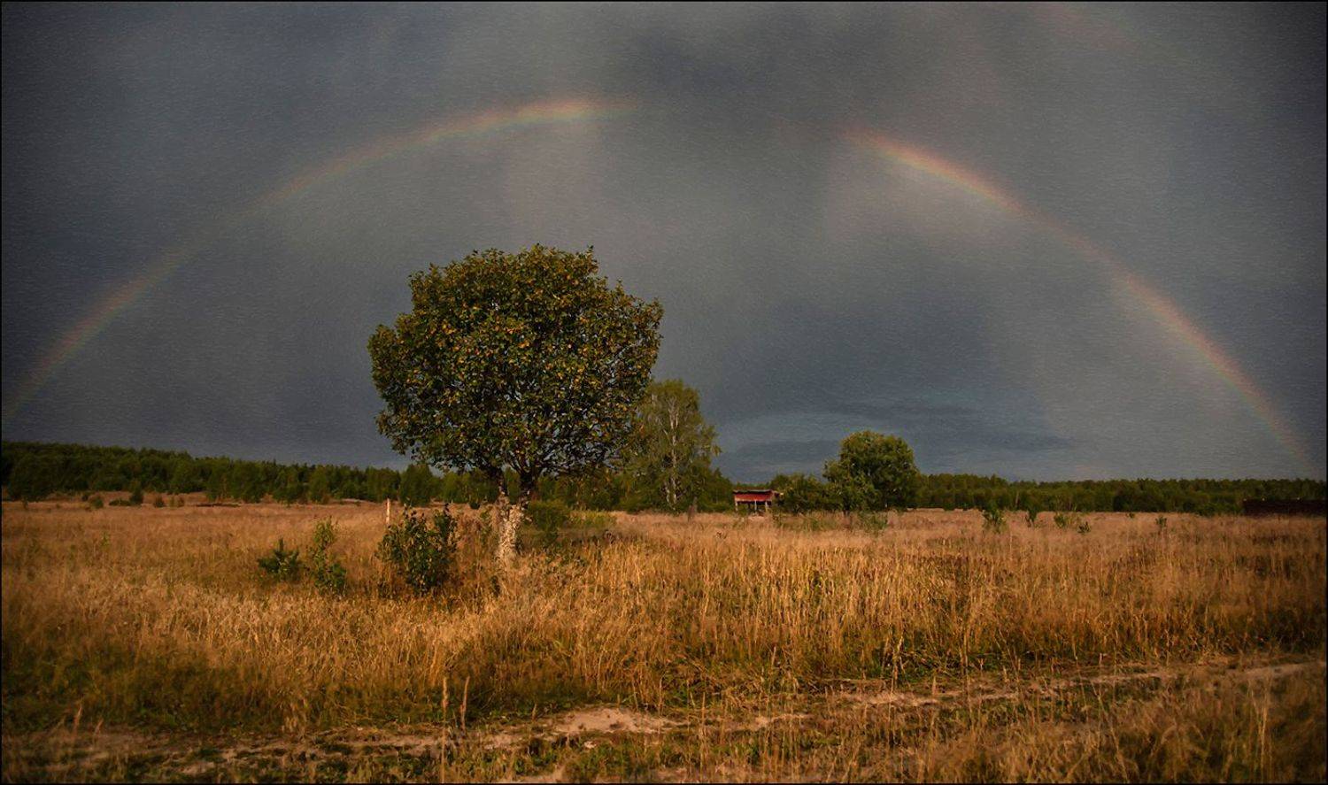 , Александр  Швачко