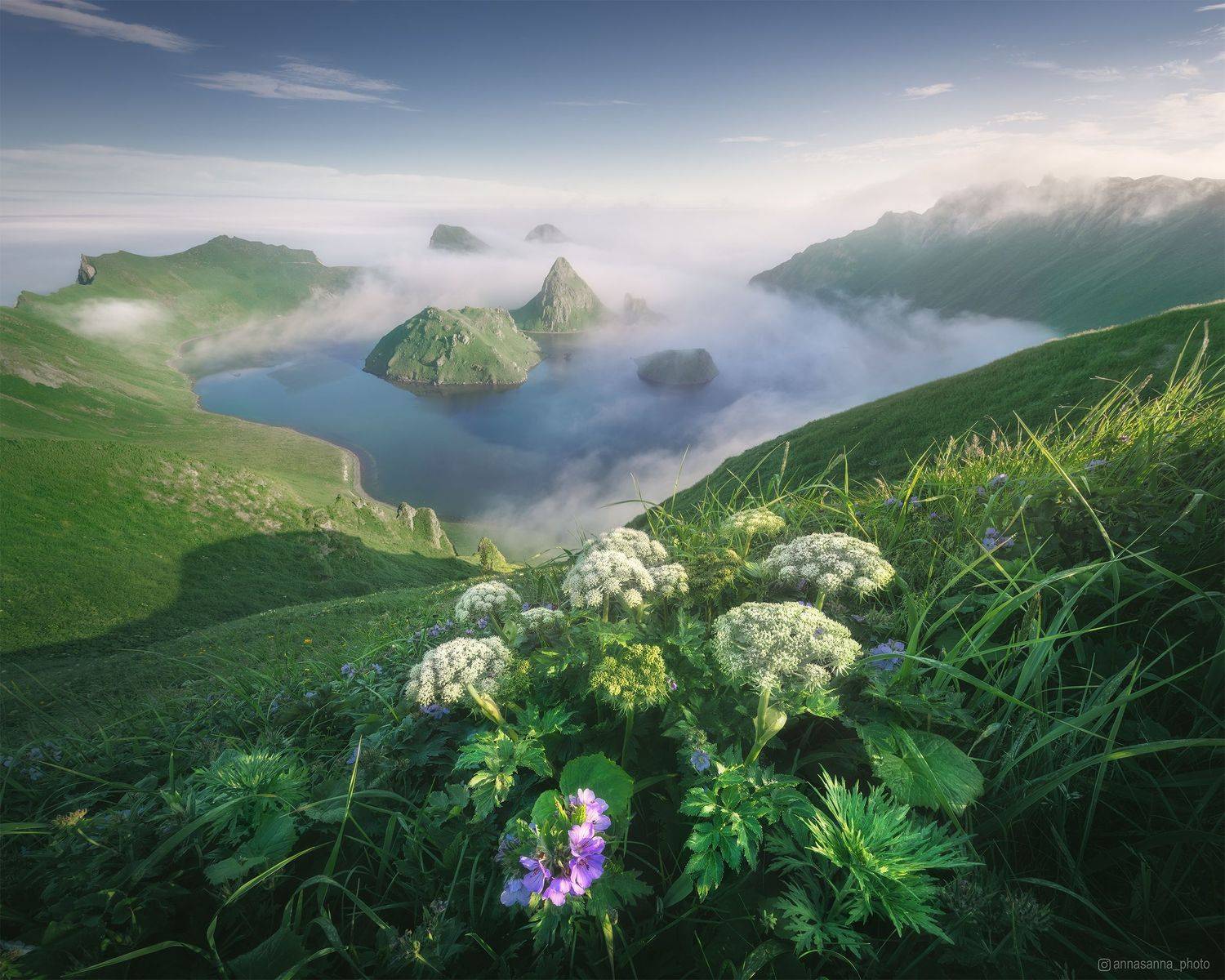 , Анна Политова