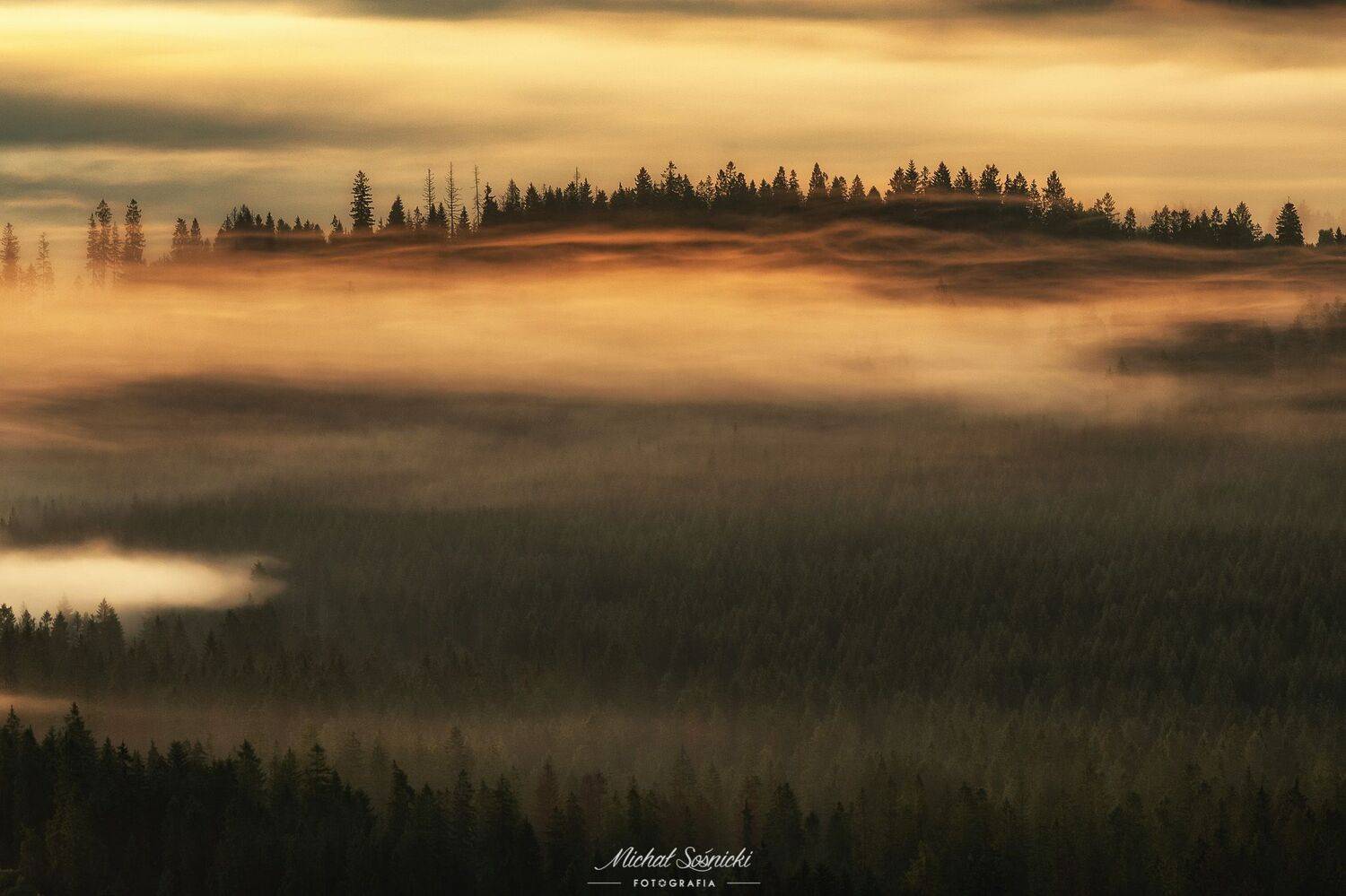 #tree #mountains #summer #sunset #wood #nature #amazing #earth #pics #photo #best #poland, Michał Sośnicki