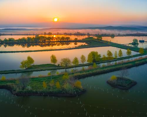 Пруды на рассвете