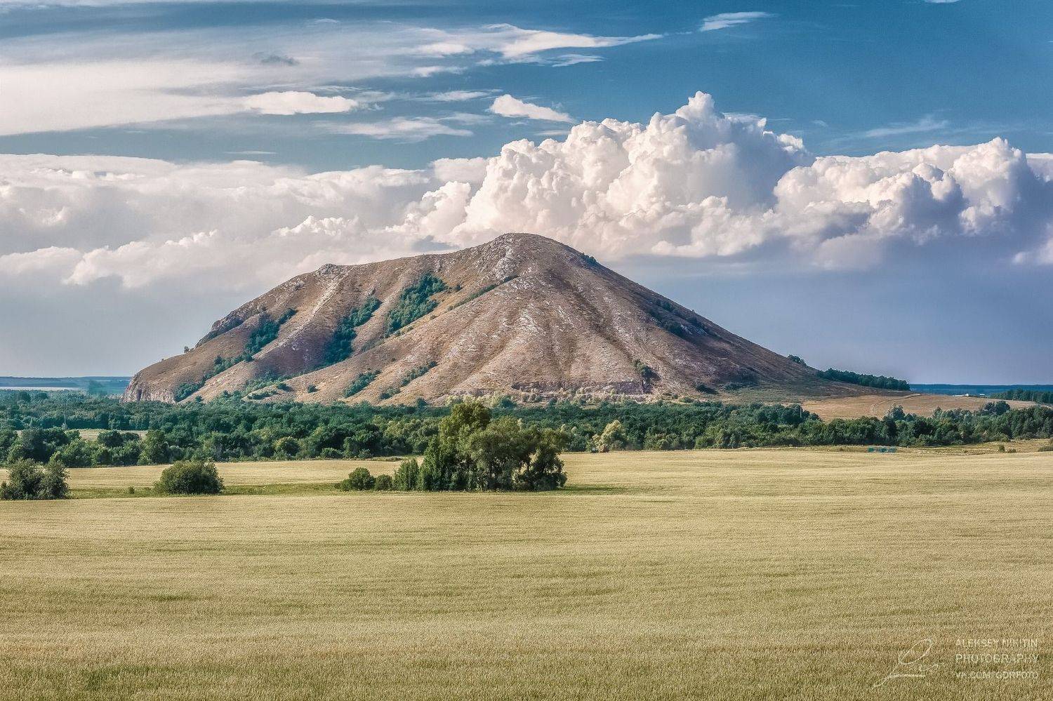 , Алексей Никитин