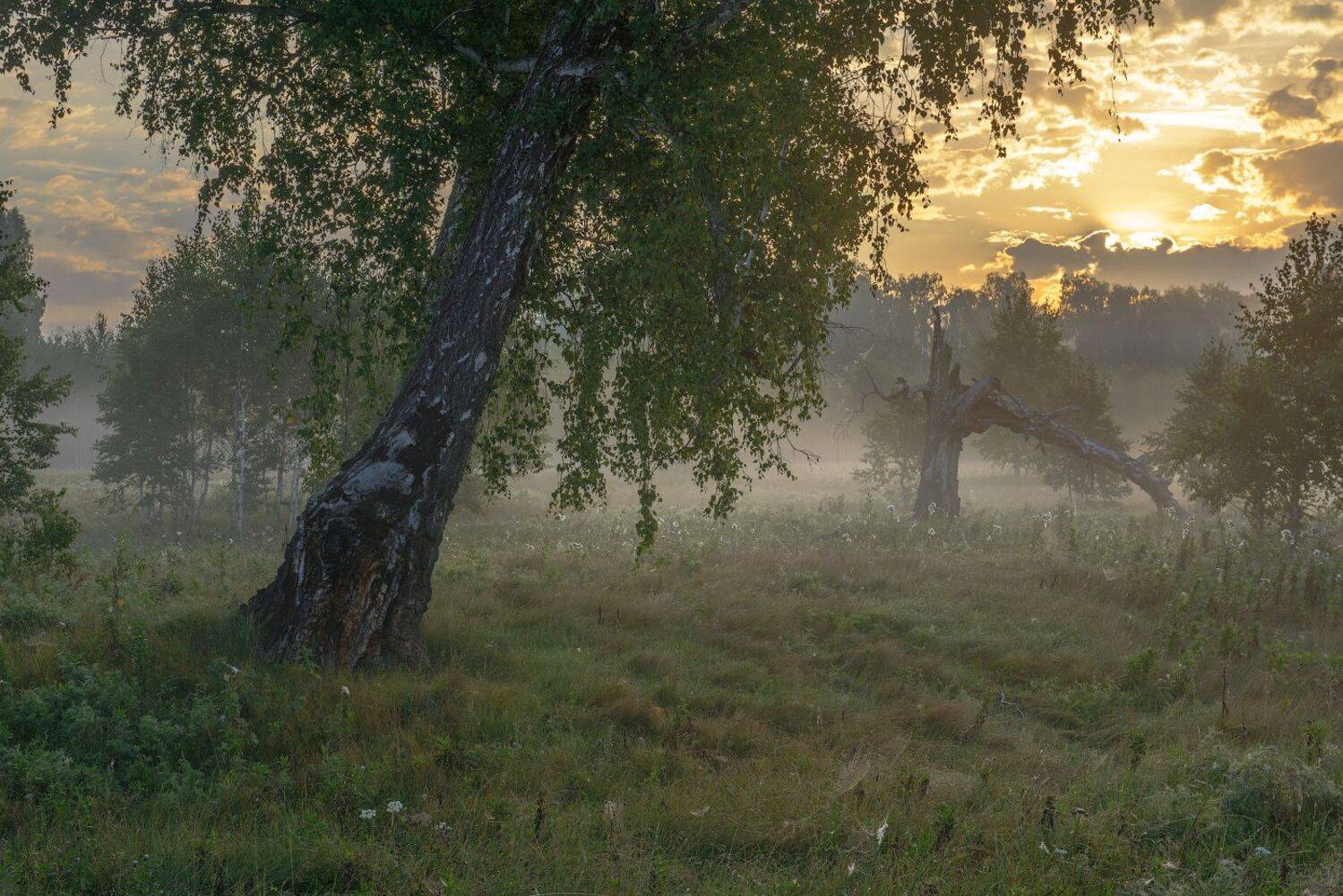, Кутыгин Эдуард