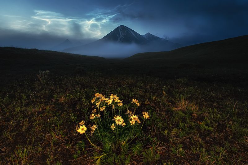 серебристые облака, silvery clouds, night, kamchatka, flowers, night photography Серебро Камчатки фото превью
