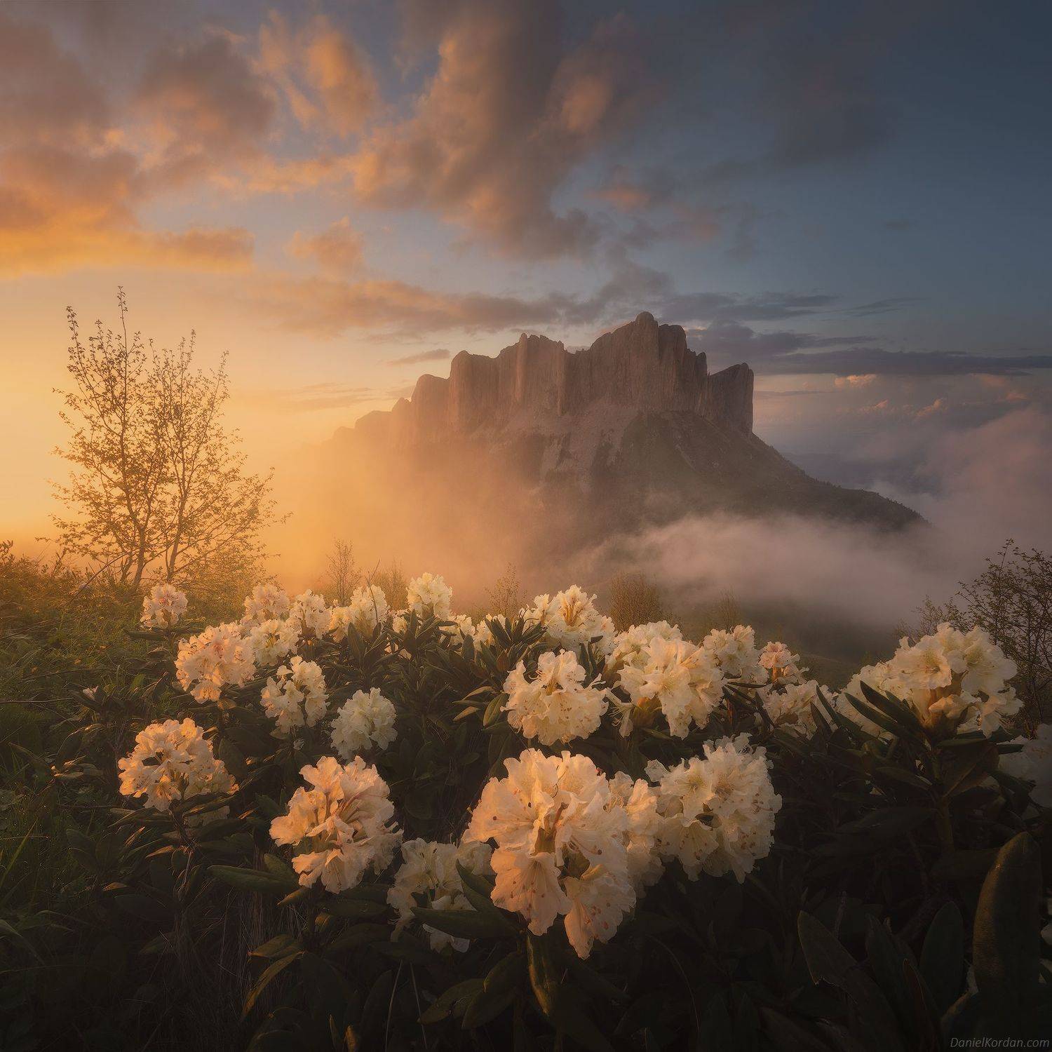 Кавказ, Адыгея, Тхач, Тхачи, Даниил Коржонов