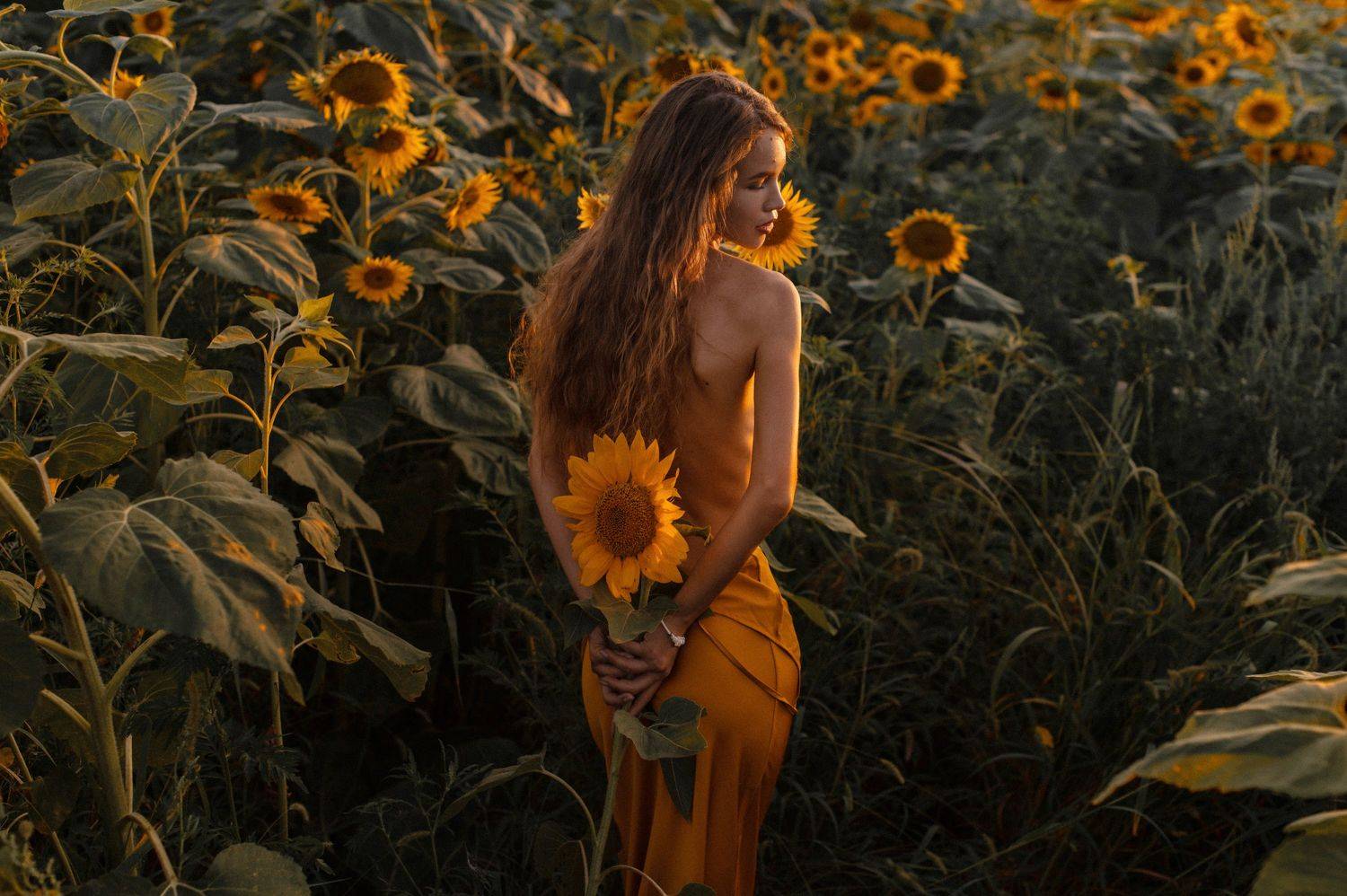 , Евгений Линев