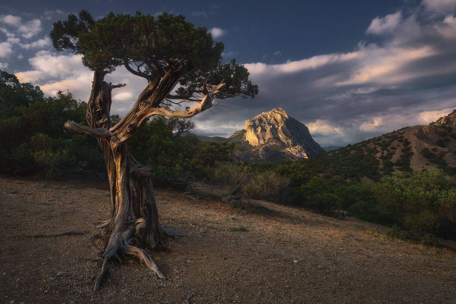 крым, новыйсвет, Владимир Ляпин