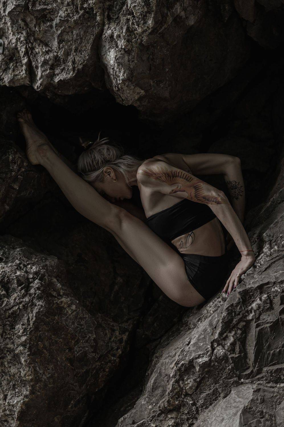 , Терра Алена