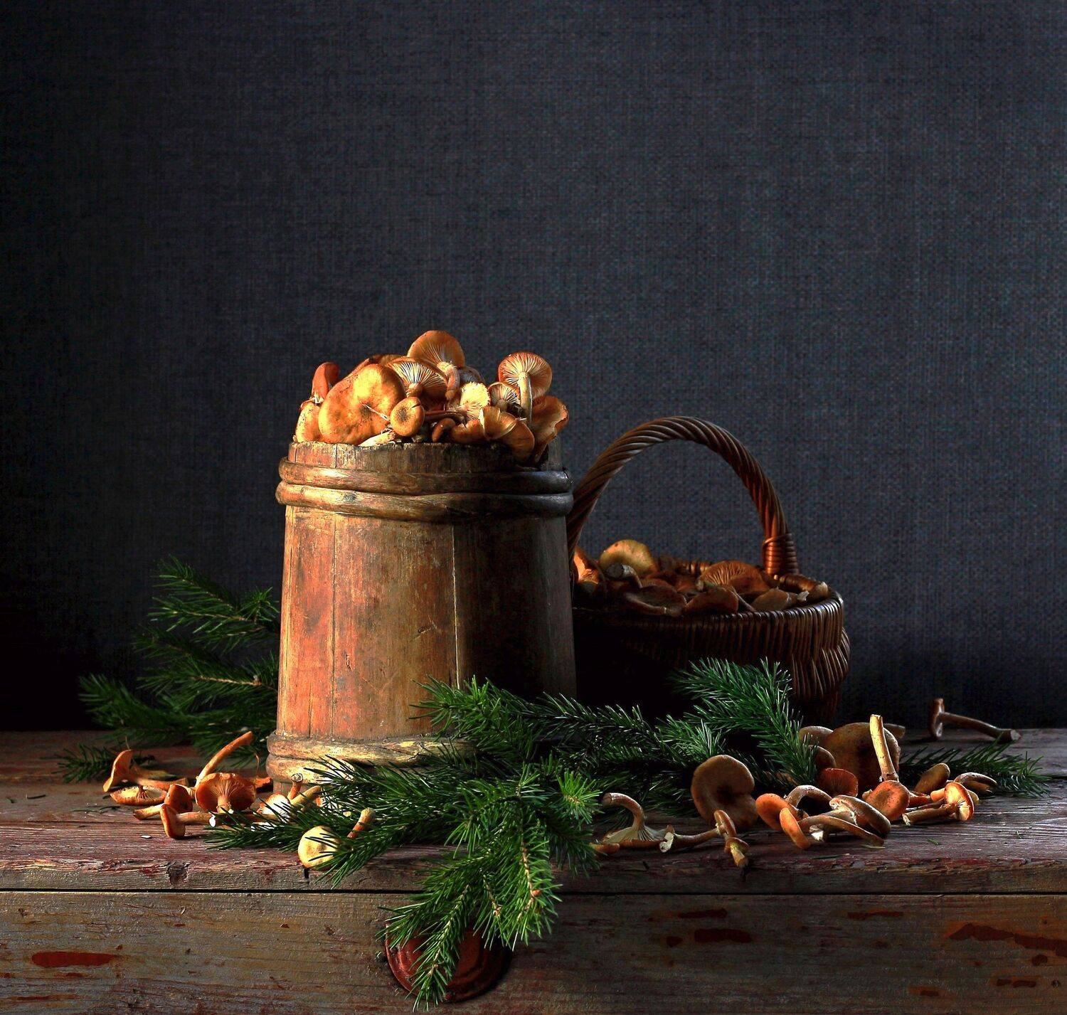 натюрморт, фотонатюрморт, лето, грибы, опята, наталья казанцева, Наталья Казанцева