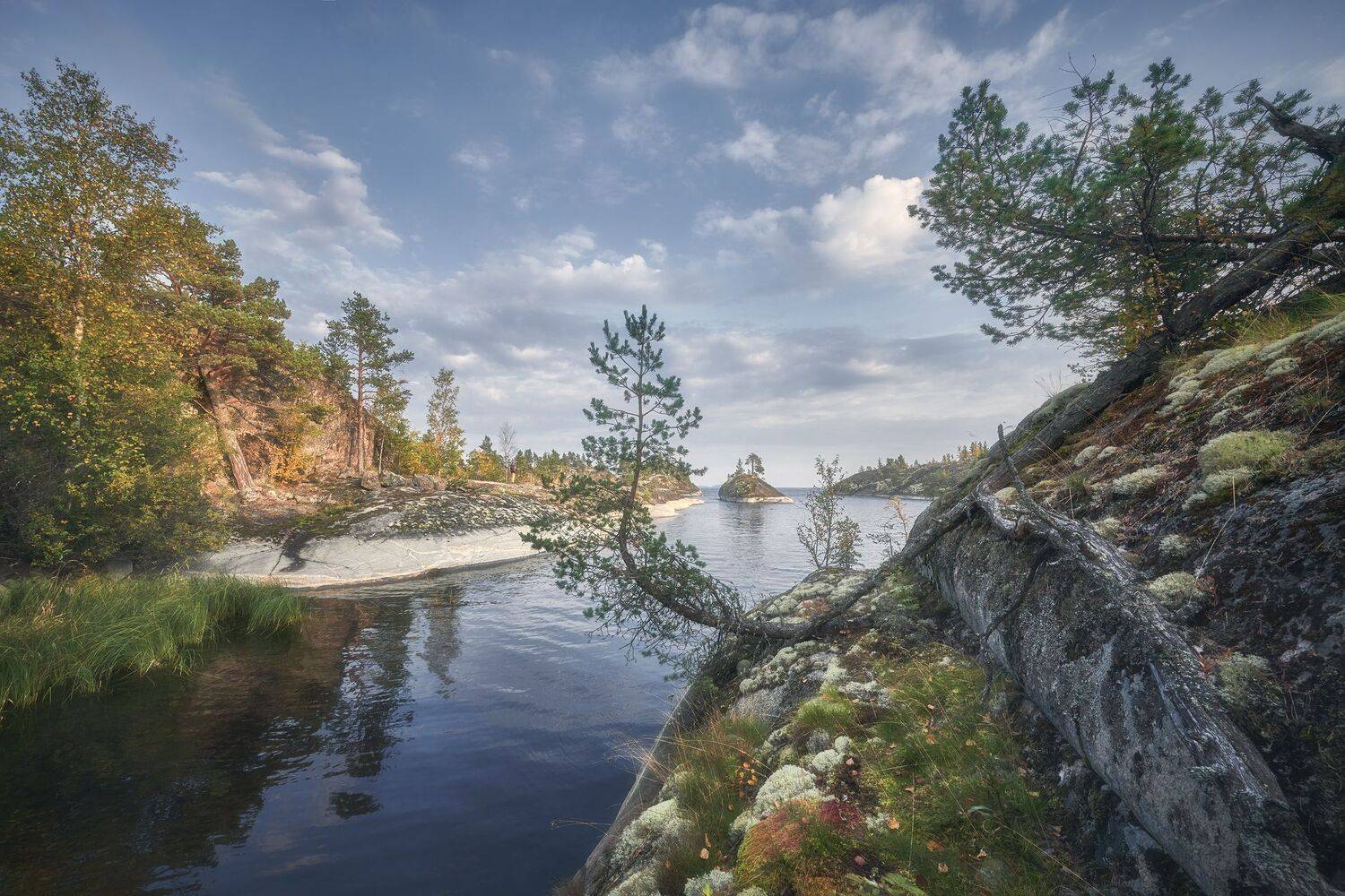 , Антон Кононов