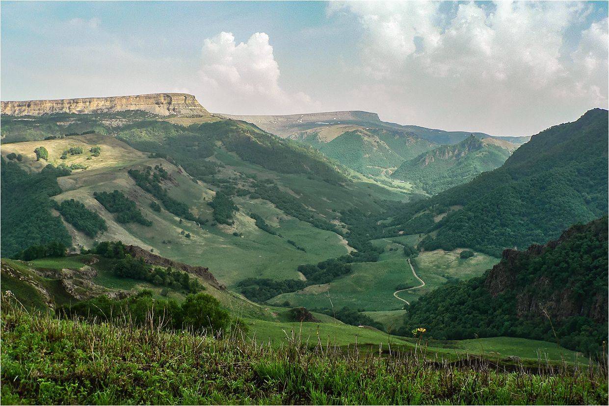 гумбаши, КарОл