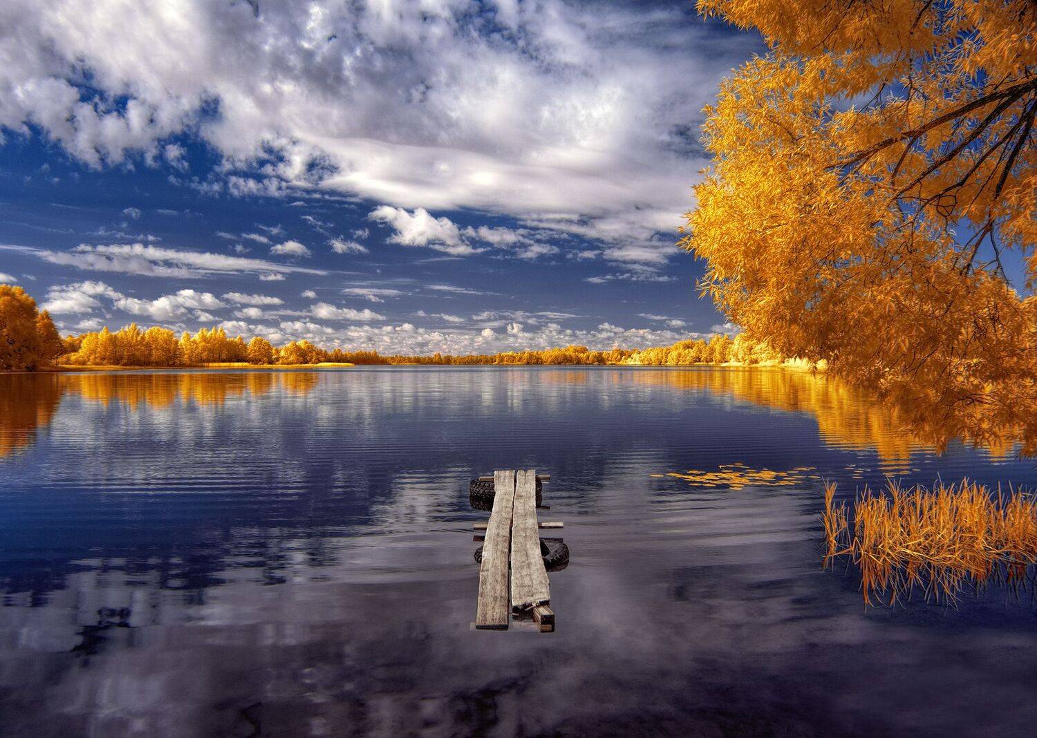 infrared,ик-фото,инфракрасное фото, инфракрасная фотография, пейзаж, лето, Sixten ( Сергей )