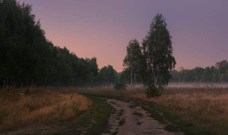 луг лето август рассвет туман И только вдалеке полоска туч алеет фото превью