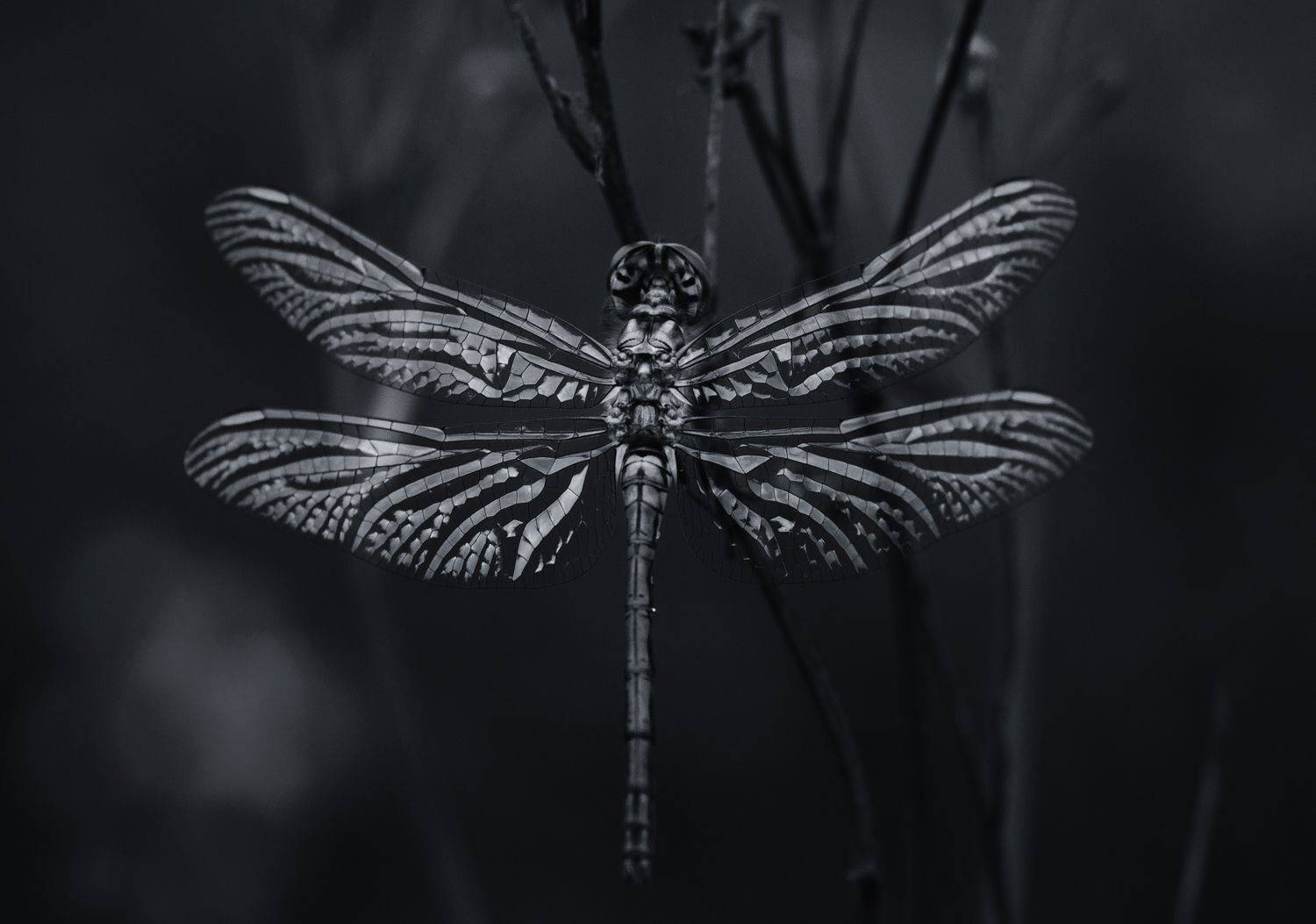 , Баранов Олег