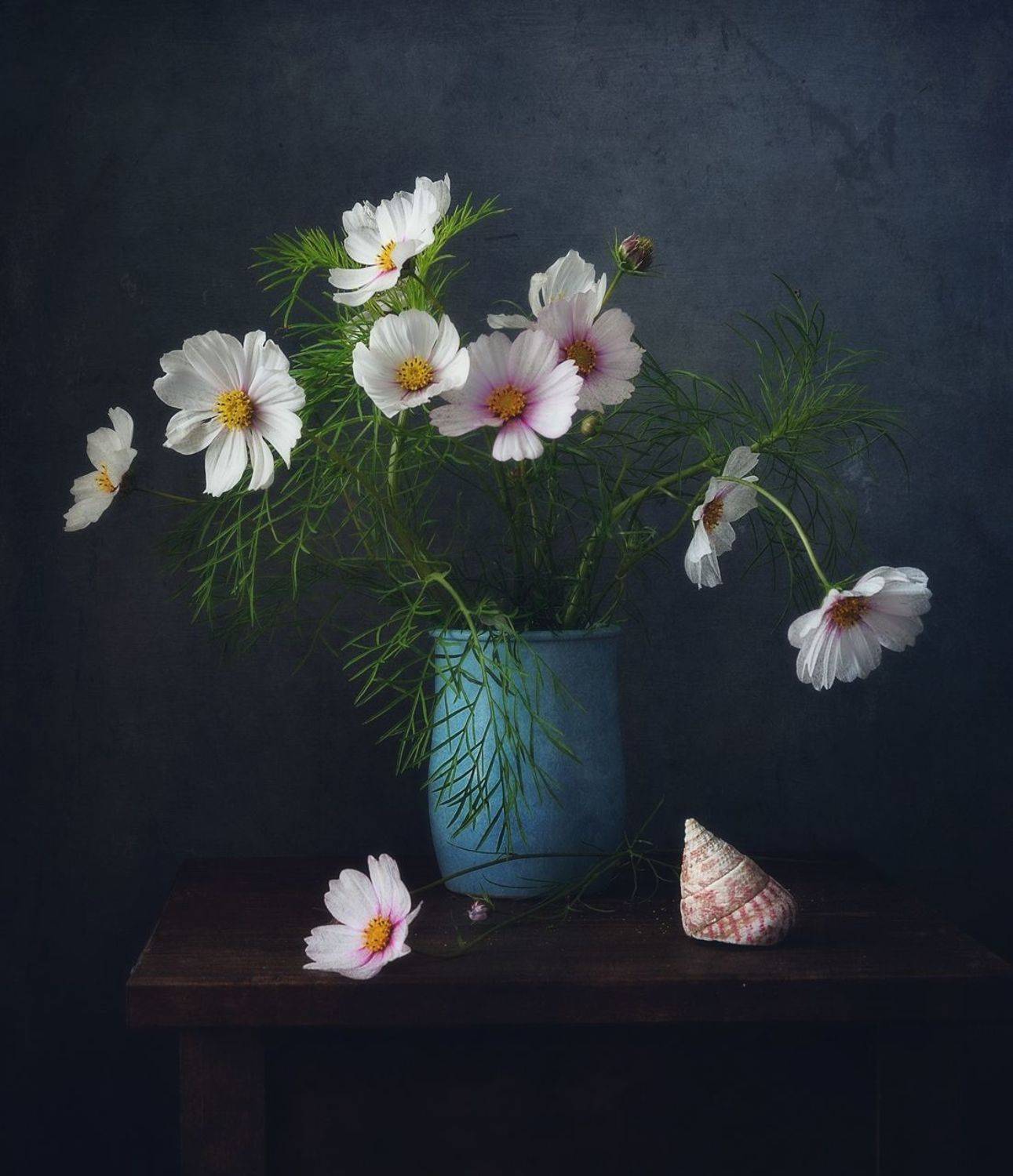 натюрморт,композиция,цветы,космос,космея, Наталия К