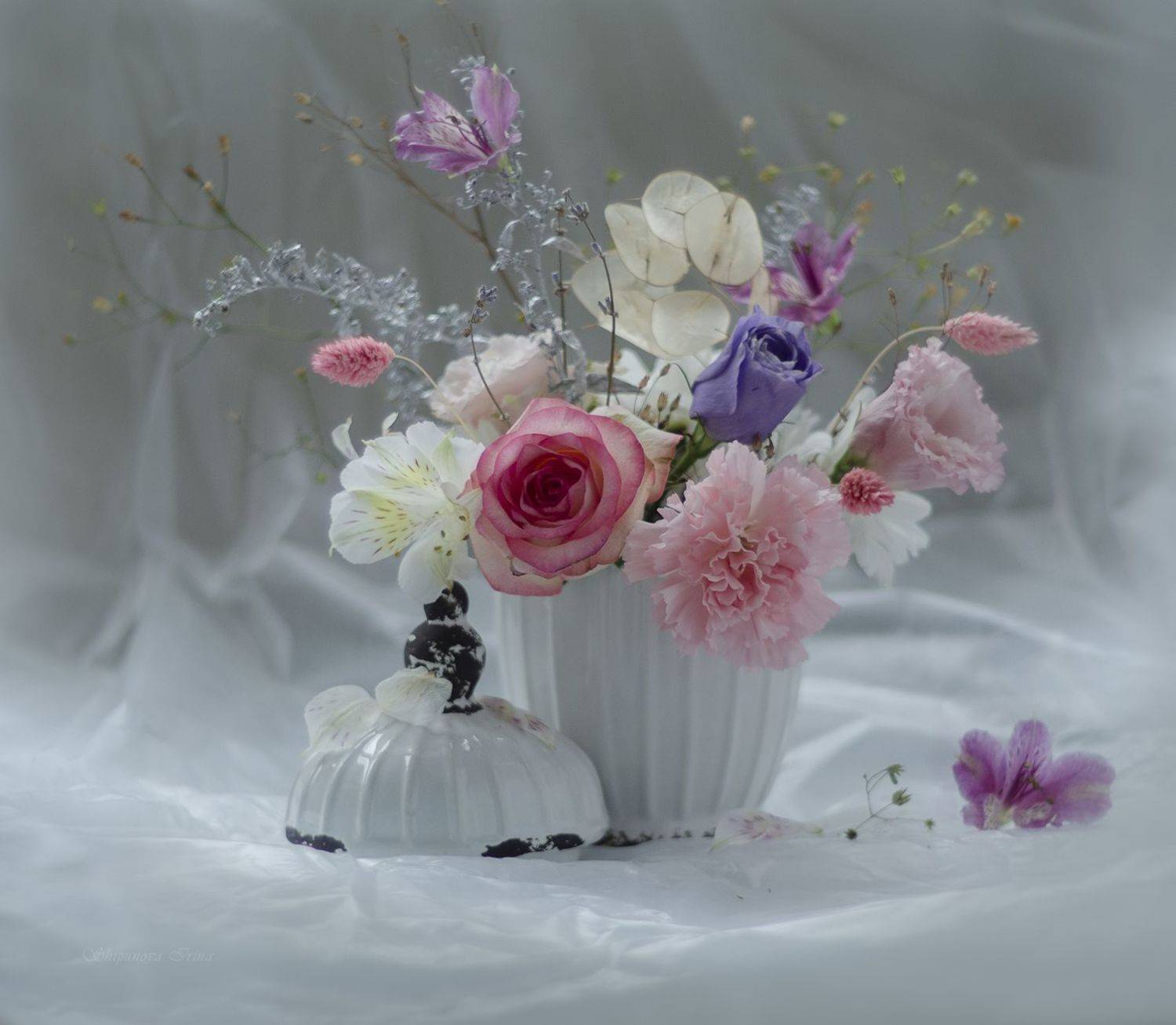 , Шипунова Ирина