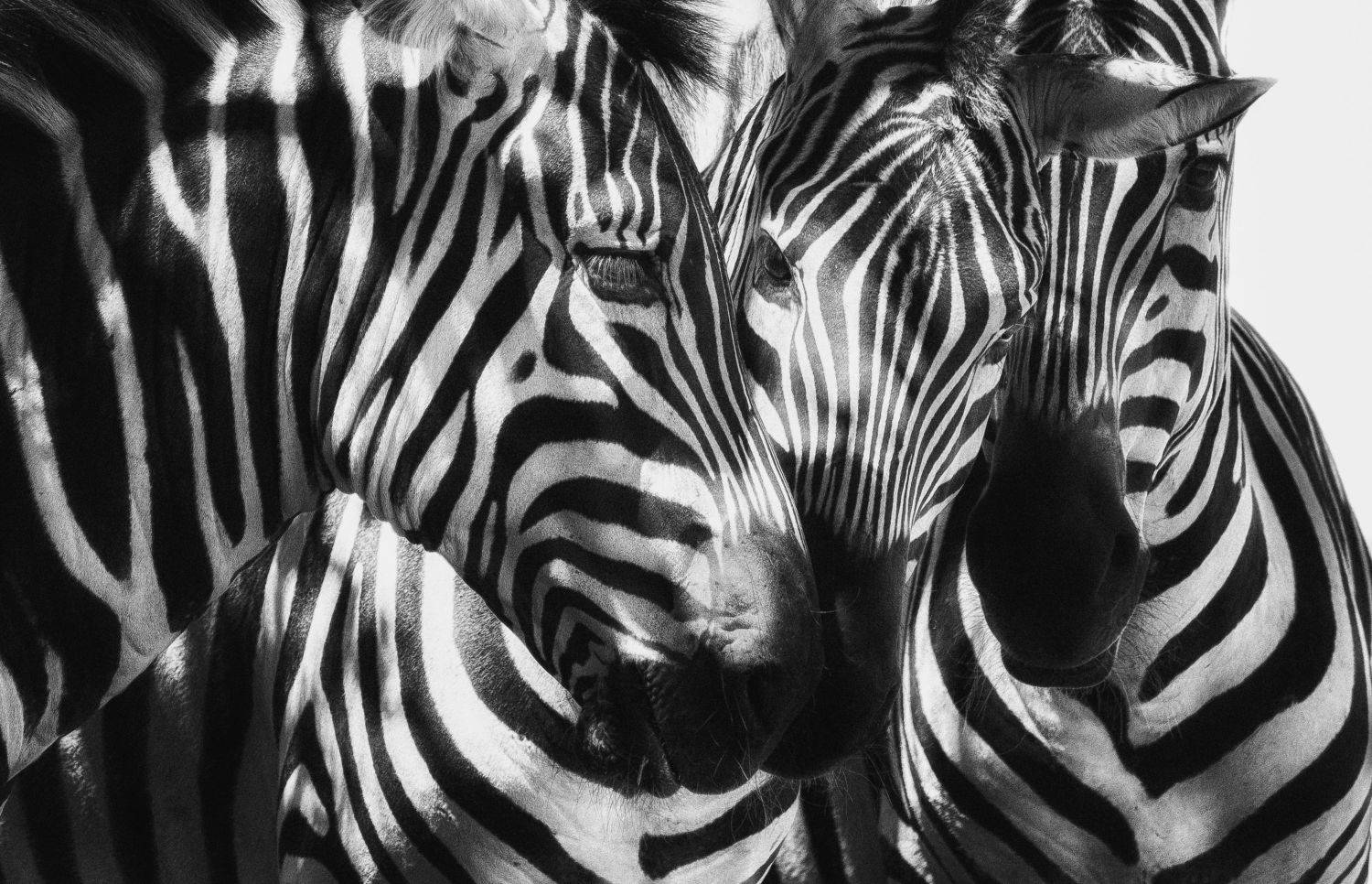 , Григорий Крамаренко