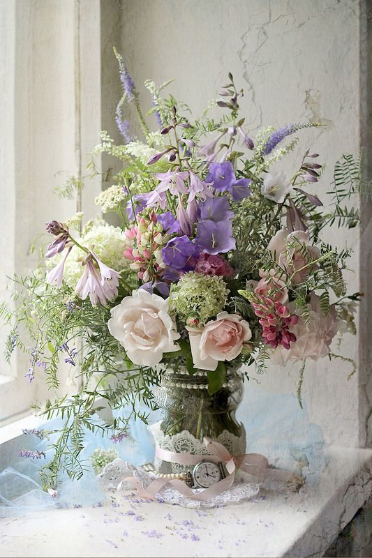 Время расцветать фото превью