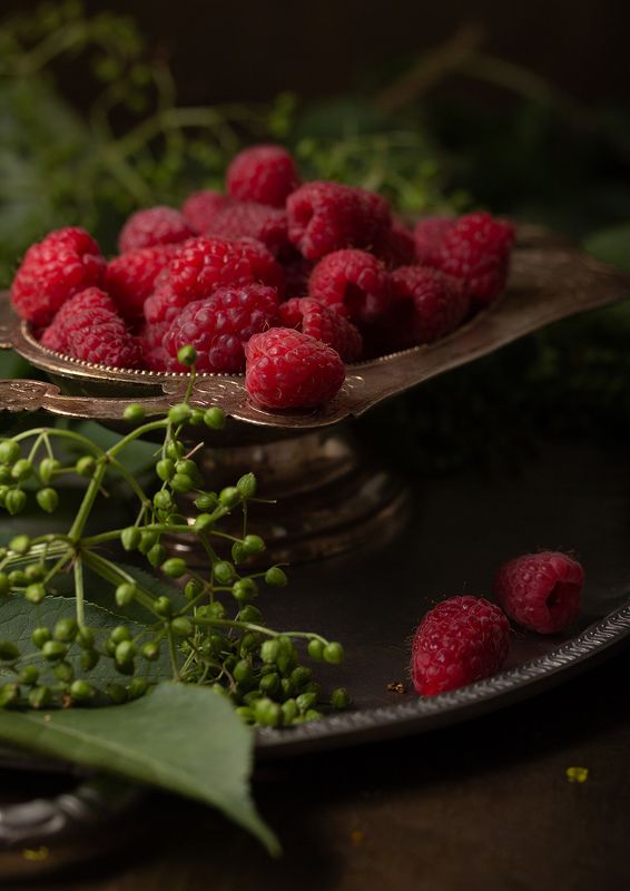 Малина фото превью