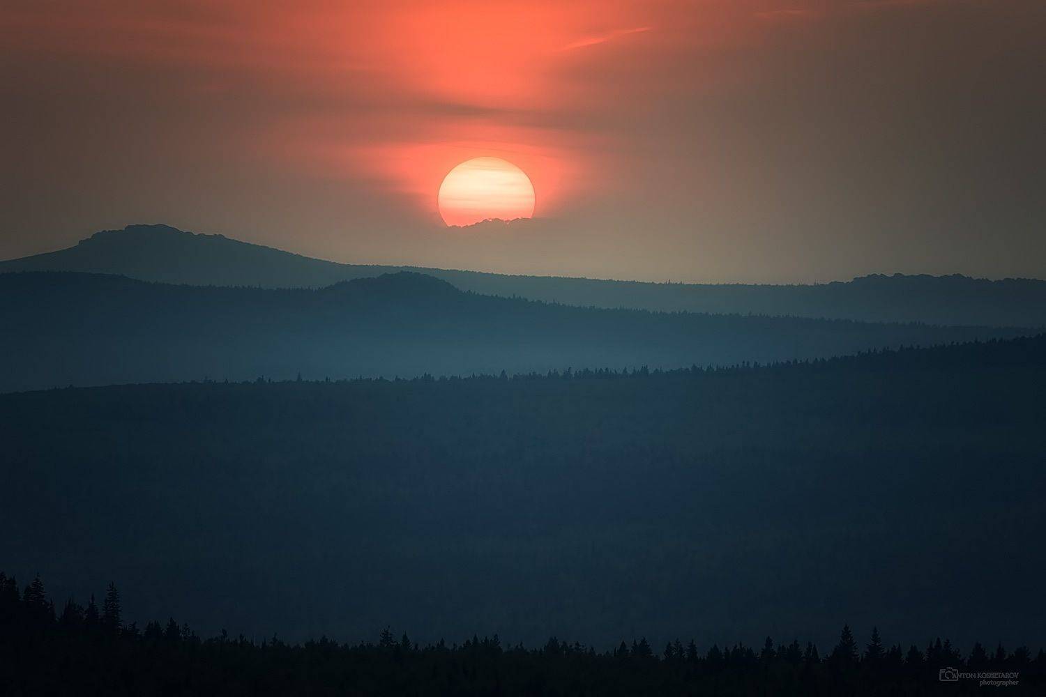 хмели, Антон Кошетаров