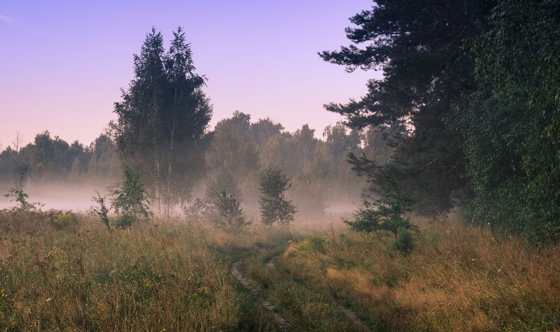 луг лето  август рассвет туман Царство тишины фото превью