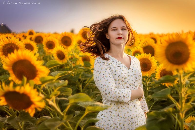 фотограф Лисичанск, семейный фотограф, детский фотограф, индивидуальная фотосессия, портрет, фотограф Северодонецк, фотосессия на природе, фотосессия в подсолнухах, Ксения фото превью