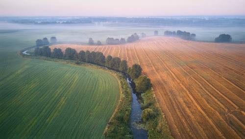 Поля, луга, Уса и утро