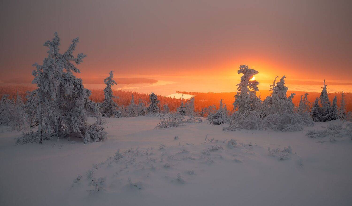 , Виталий Истомин