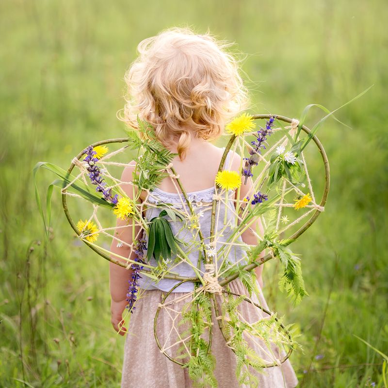 Полевая бабочка фото превью