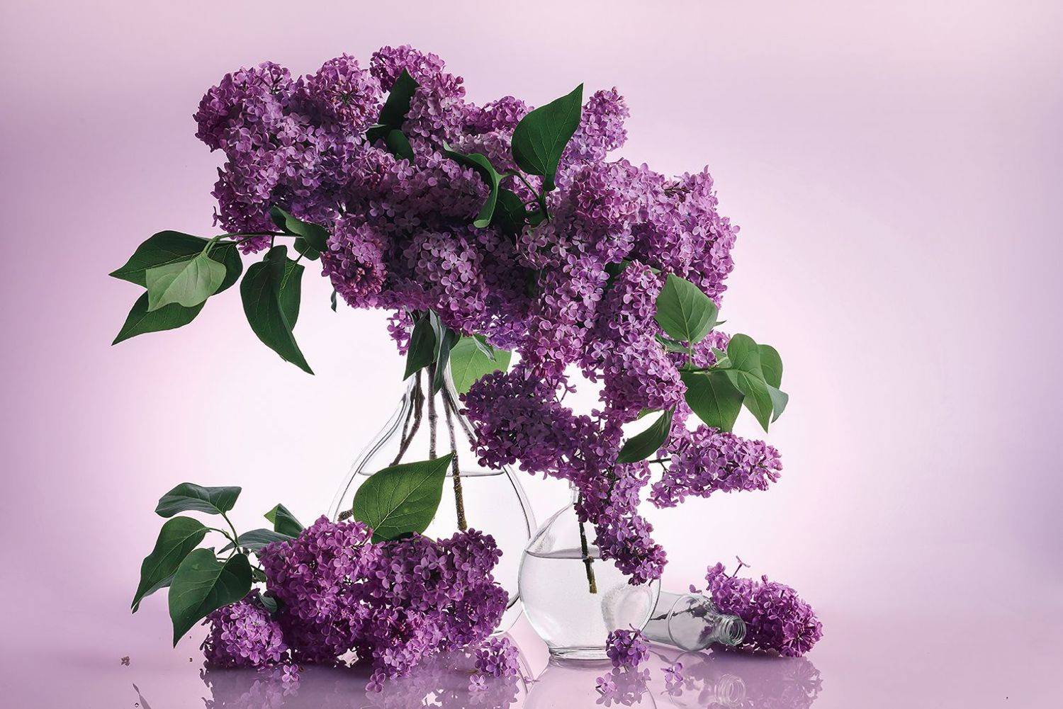 , MVO (Марк Орлов)