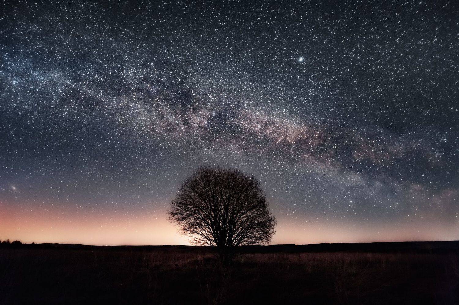 , Vyacheslav Lozhkin