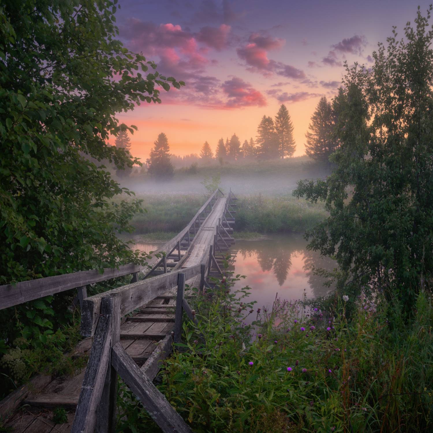 туман, мост, лето, Дмитрий Медянцев