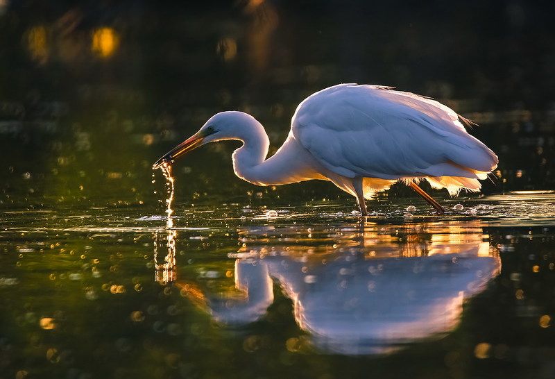 Утро нового дня фото превью