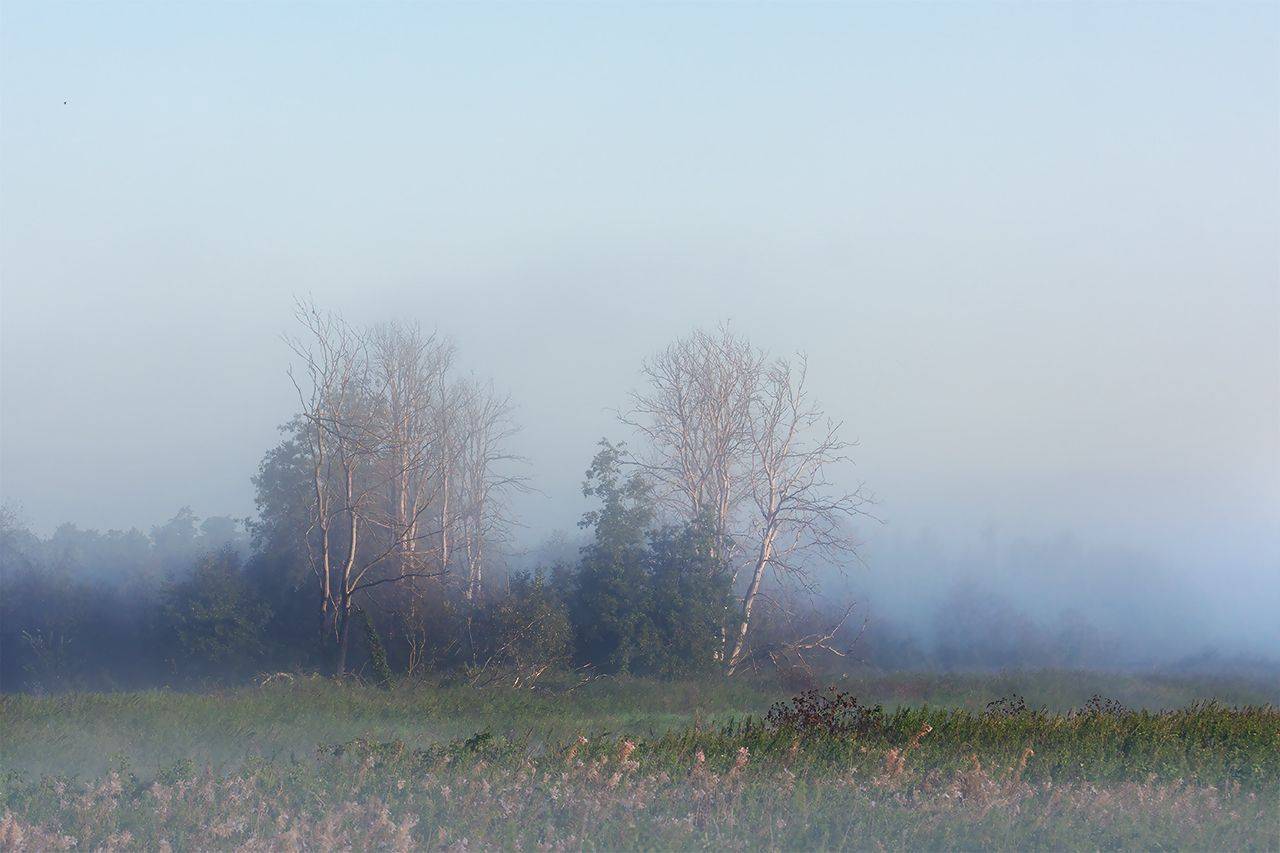 , Валерий Субачев