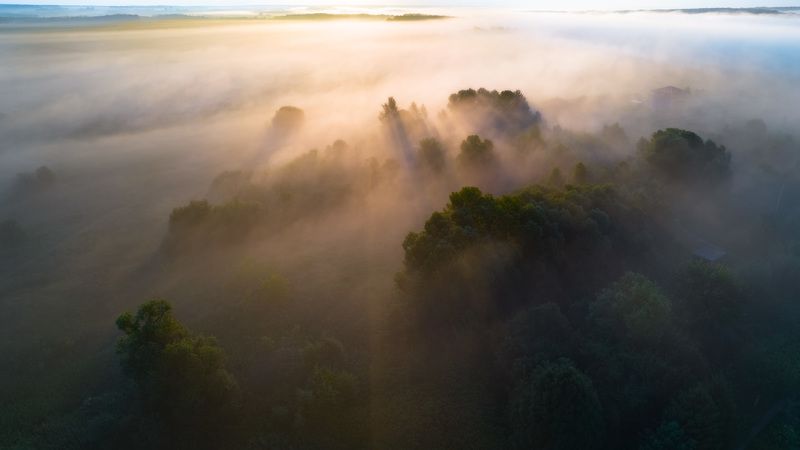 Туманное утро фото превью