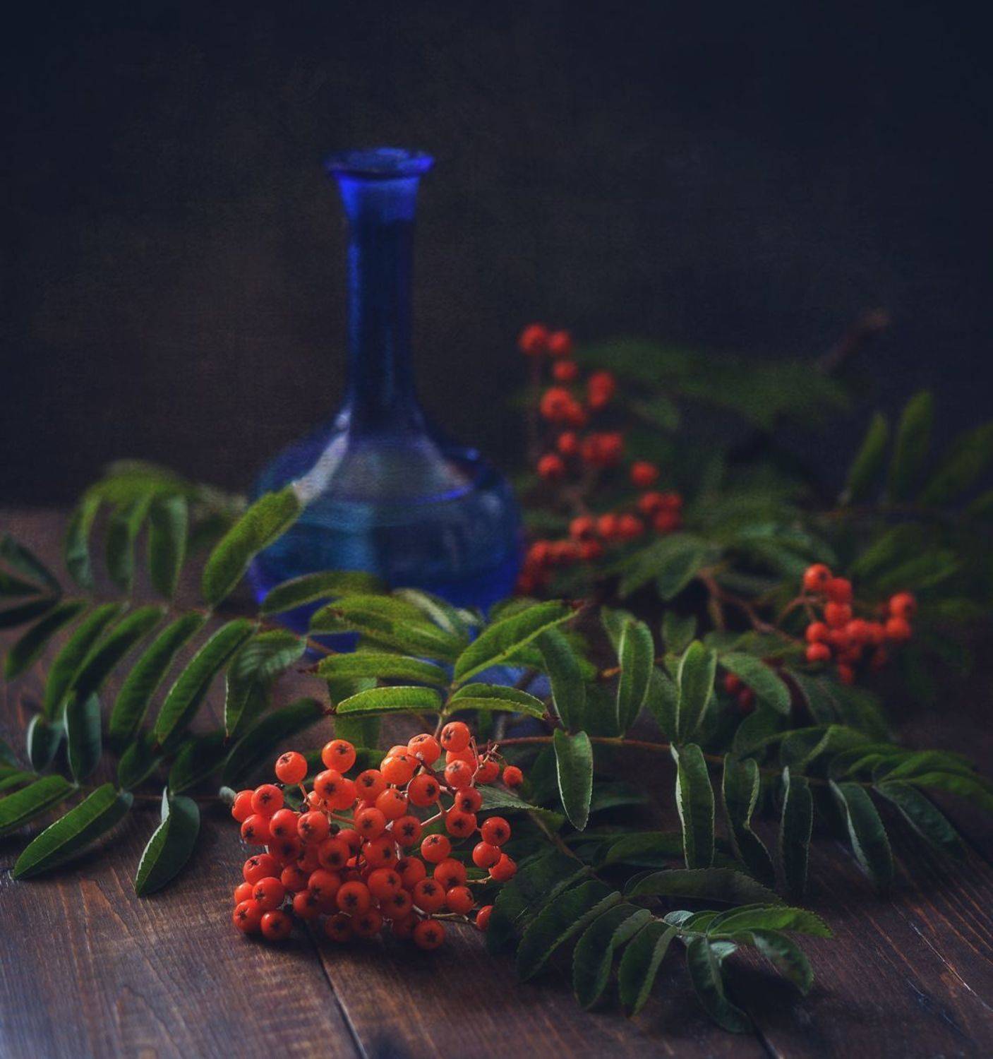 натюрморт,композиция,рябина,ягоды, Наталия К