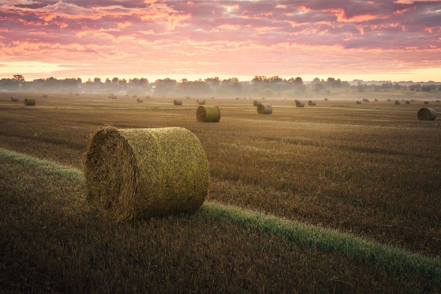 , Григорий Бельцев