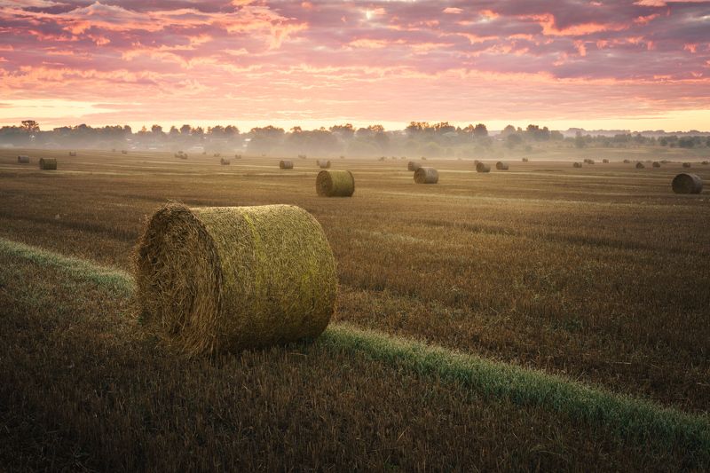 Конец лета фото превью